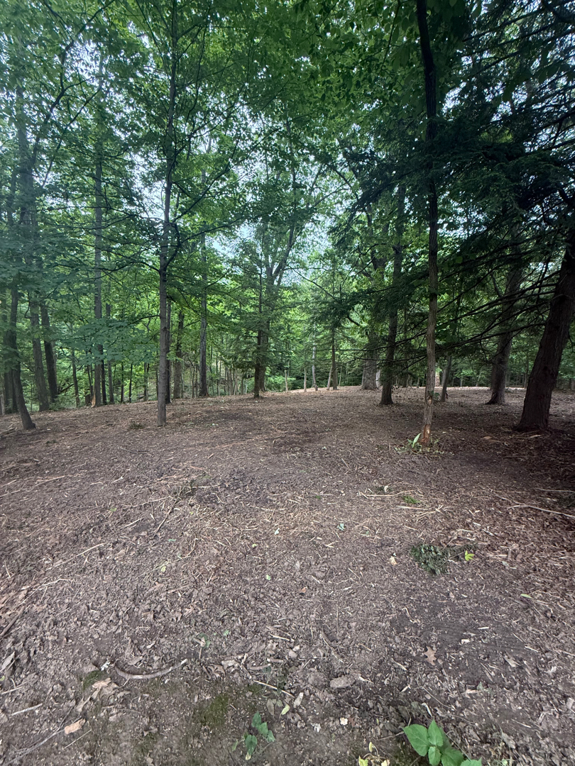 Cleared Cincinnati-area property after forestry mulching and brush removal